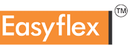 EASYFLEX logo